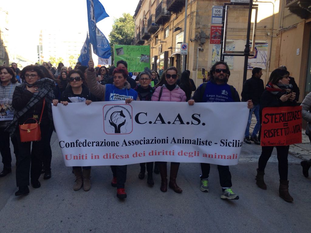 Alcuni dei manifestanti urlano "vergogna" alla gente che assiste al corteo dal balcone