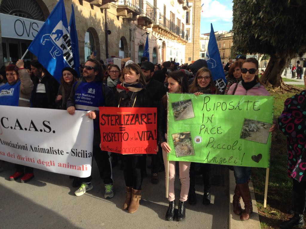 Il corteo animalista giunto in piazza Scandaliato. Tutto procede serenamente. Numero di manifestanti inferiore alle attese