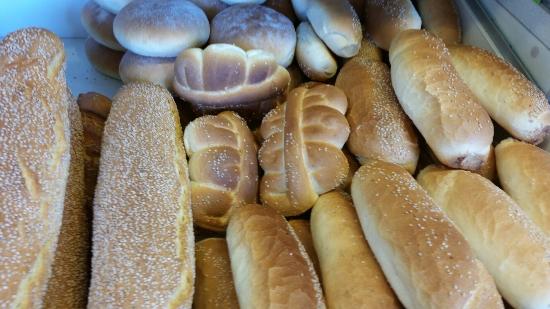 Panifici aperti la domenica, la sindaca dispone la turnazione