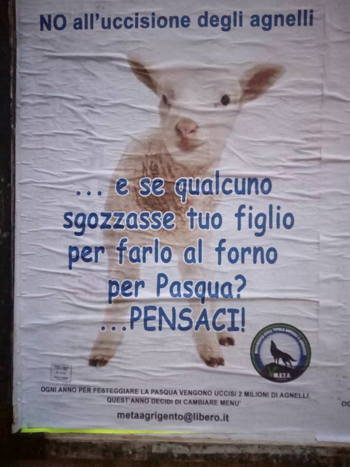 Manifesti animalisti shock anche sui muri di Sciacca a tutela degli agnelli: "E se a essere sgozzato e fatto al forno per Pasqua fosse tuo figlio"?