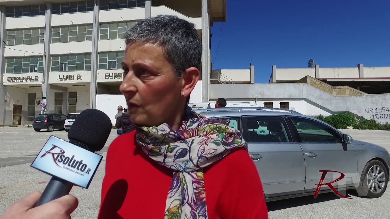 Liberati 17 cani nel perimetro cittadino, gli animalisti: "Ora occorre prendersene cura"