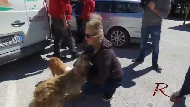Cani reimmessi sul territorio, Anna Maria Friscia: "Procedure sbagliate, si sospenda tutto"