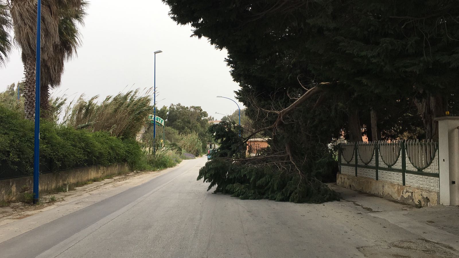 Allerta meteo per il vento, raffiche persistenti anche nelle prossime ore