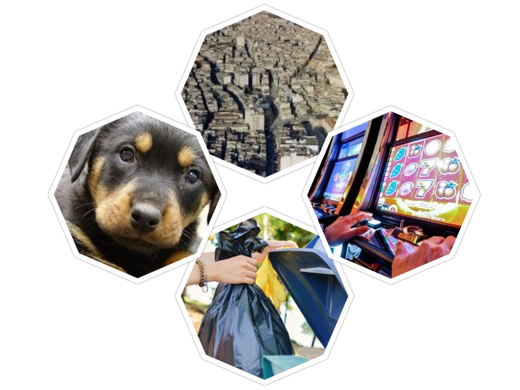 A Canicatti' previste riduzioni della Tari per chi adotta un cane o disinstalla un videopoker