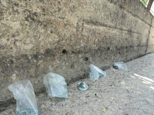 Polpette avvelenate a Serradifalco, nuova strage di randagi in Sicilia