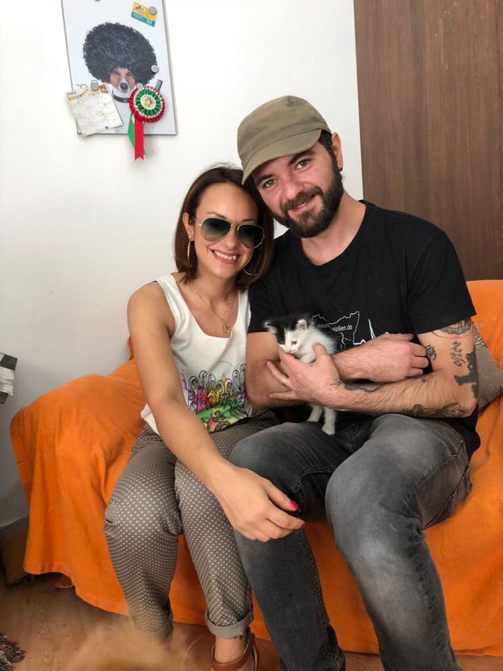 Un gatto prima rischia di essere sbranato da due cani, a Menfi,  e poi viene adottato