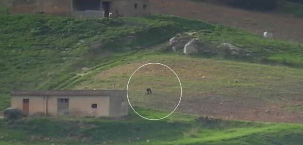 Ricerca di covi e bunker a Castelvetrano, blitz della Polizia sulle tracce di Messina Denaro