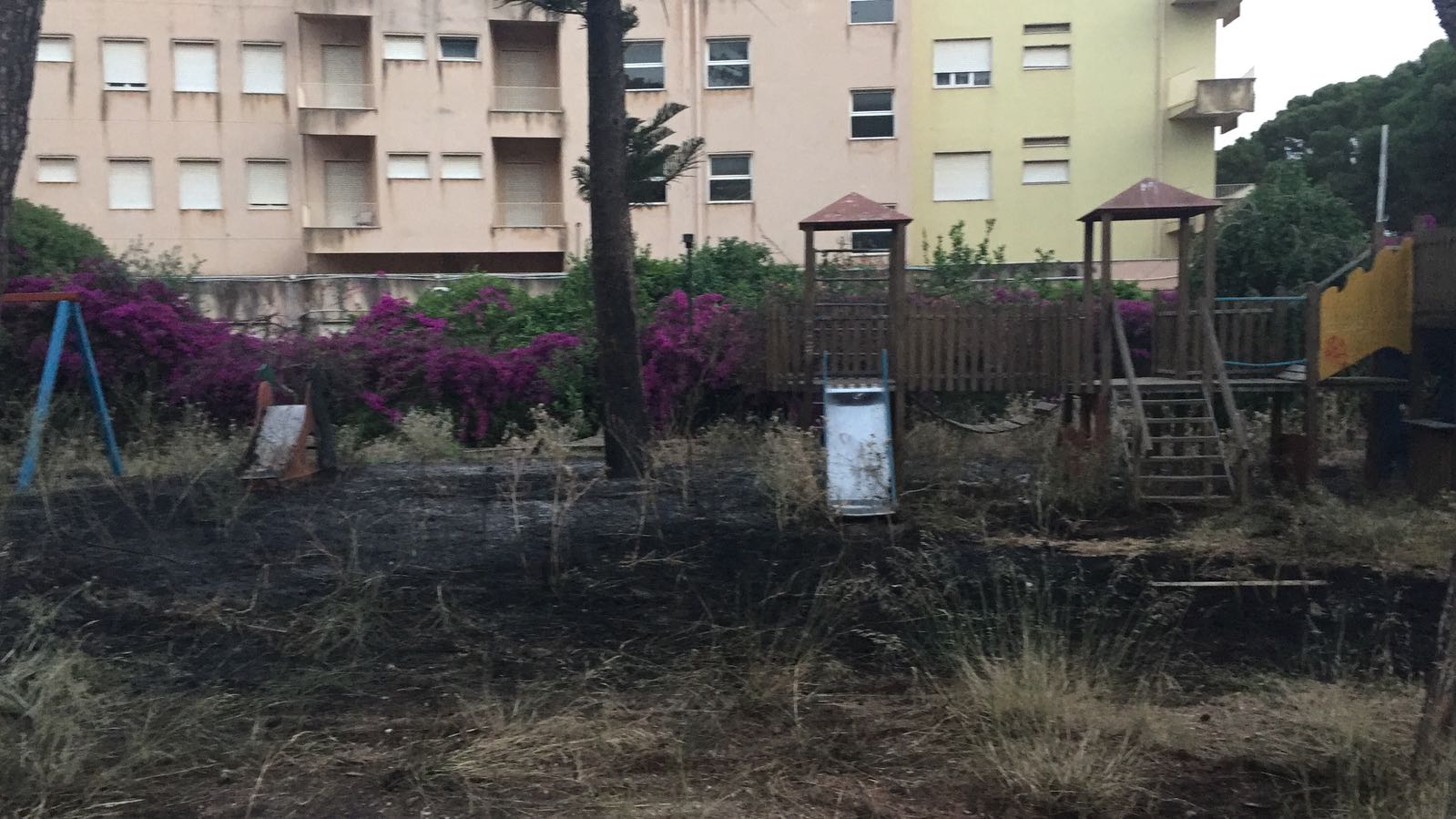 Incendio di sterpaglie al parco Termale