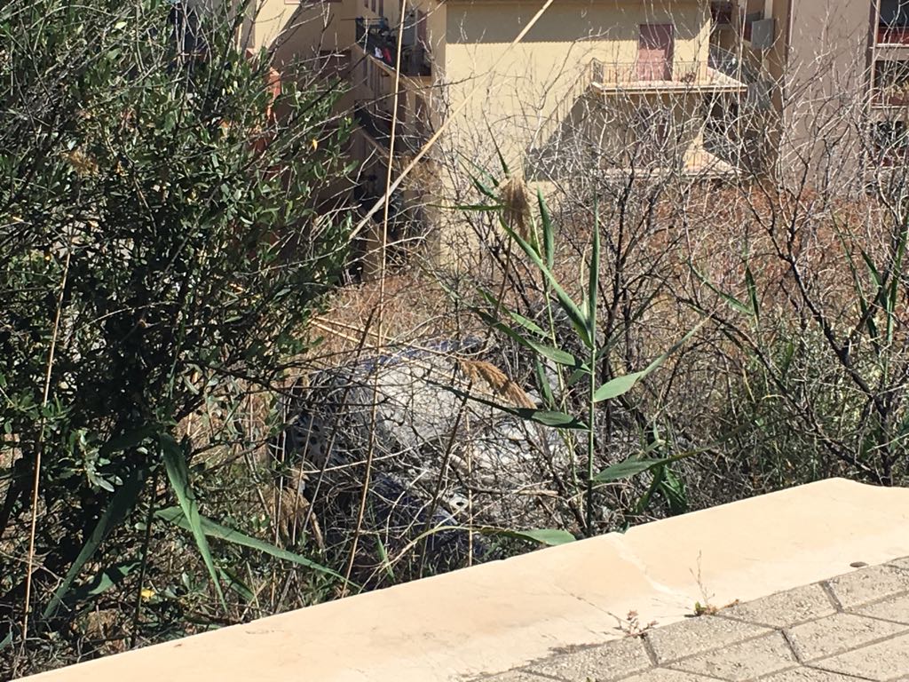 Sotto shock il ventisettenne precipitato con l'auto oltre la ringhiera di via Allende. Ancora poco chiare le cause dell'incidente