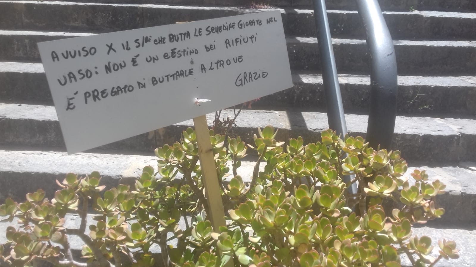 Residenti di via Orti San Salvatore esasperati lasciano un messaggio per l'incivile che quotidianamente usa una pianta come cestino dei rifiuti