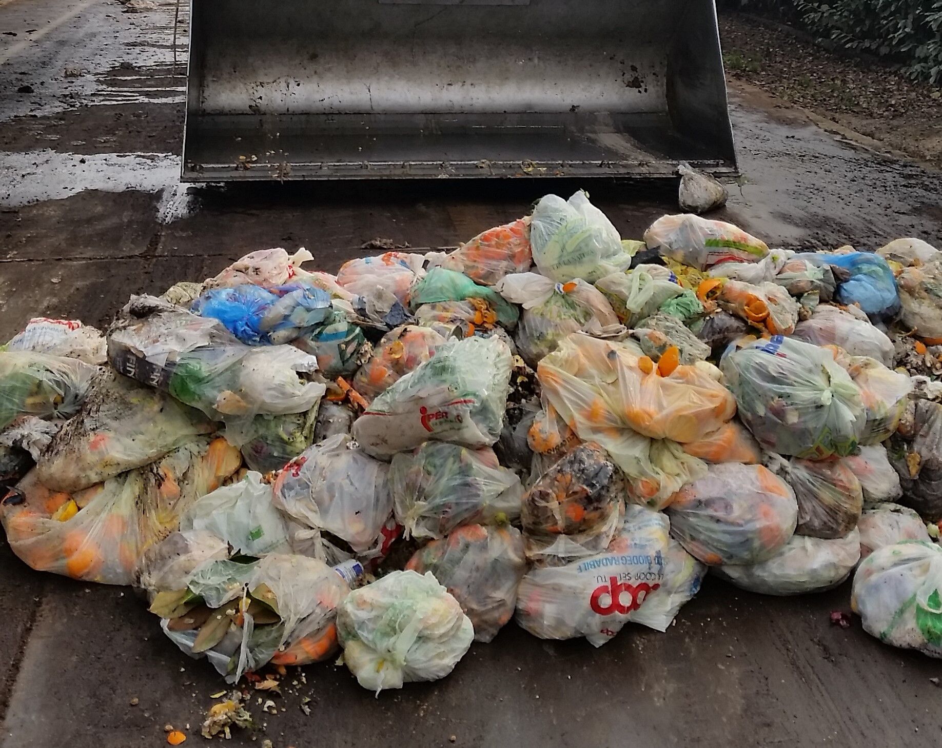 Dai sacchetti biodegradabili ai motocarri: ecco come si copriranno i costi per le 6 nuove zone inserite per il porta a porta