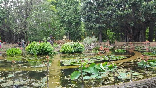 Spenta e resa invisibile installazione artistica all'orto botanico di Palermo considerata offensiva del pubblico pudore