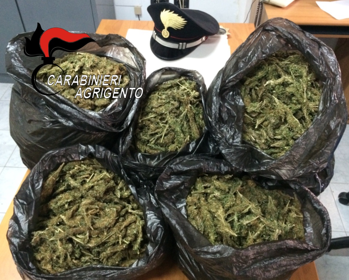I carabinieri sequestrano 20 chili di marijuana per una valore di 100 mila euro e fanno scattare due arresti