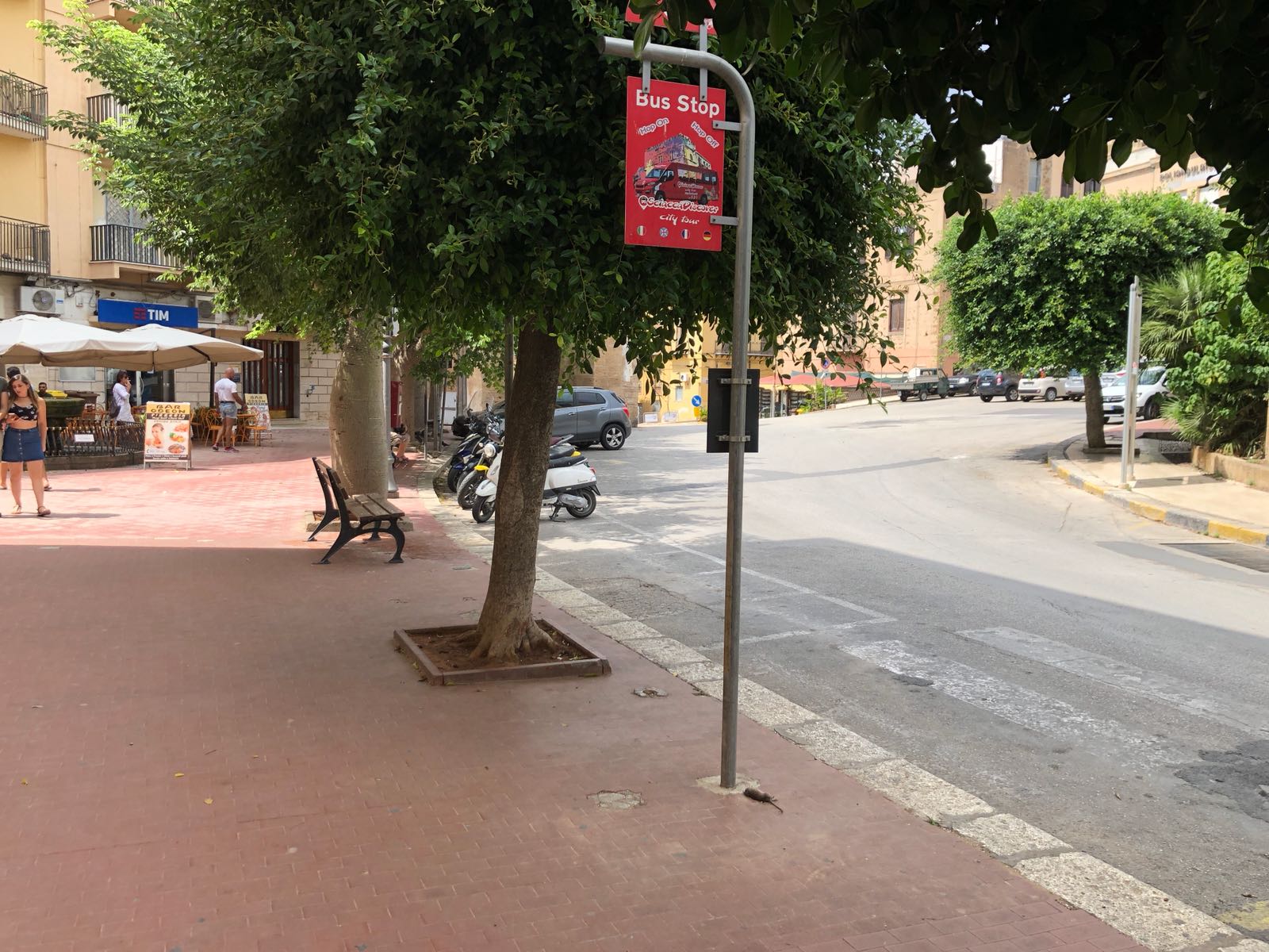 Emergenza derattizzazione: topo morto alla fermata del bus turistico in via Incisa