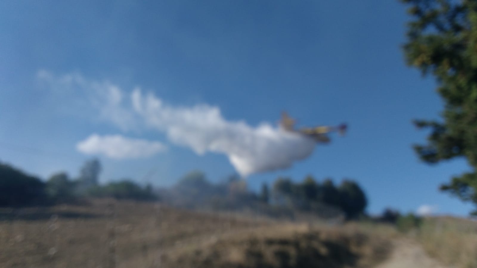 Incendio a Tranchina, intervento dei canadair per spegnere le fiamme