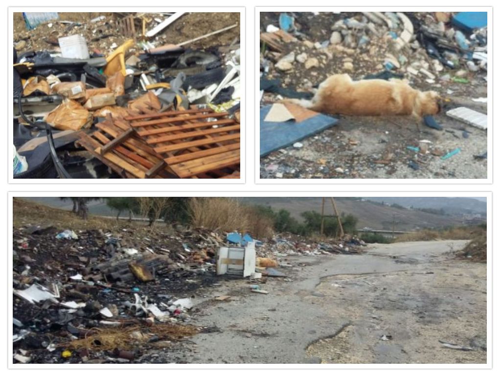 Gravissimo degrado a Raganella, da giorni discarica a cielo aperto. C'è anche la carogna di un cane