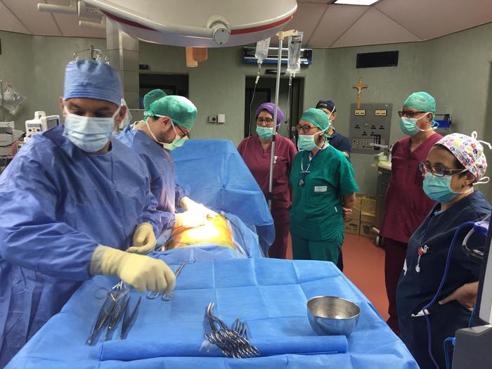 Castelvetrano. Espiantati organi destinati alla donazione