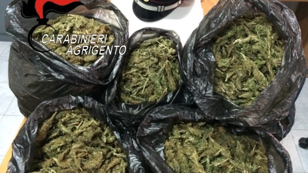 I carabinieri del comando provinciale di Agrigento sequestrano 30 tonnellate di droga
