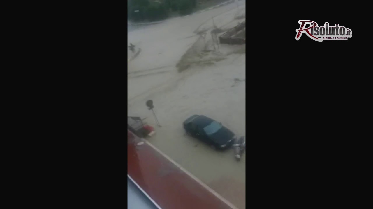 Ancora la voce grossa del Cansalamone, paura allo Stazzone