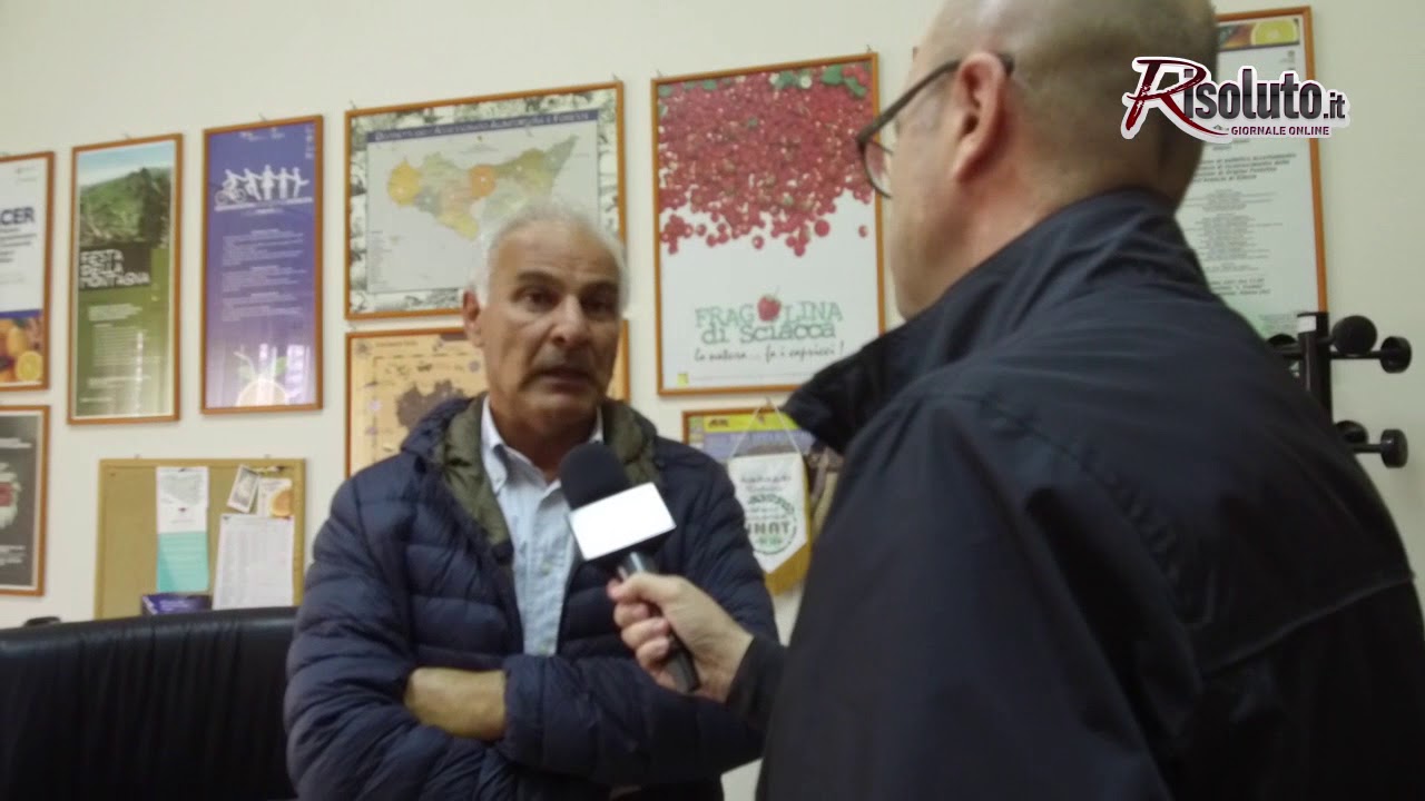 Pasciuta: "Danni limitati agli agrumeti"