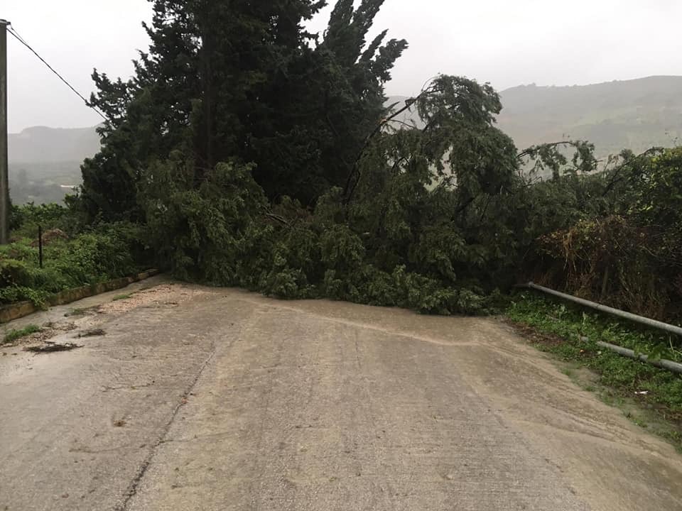 Albero sulla provinciale Villafranca-Sant'Anna, impossibile raggiungere da quel versante Sciacca o Ribera