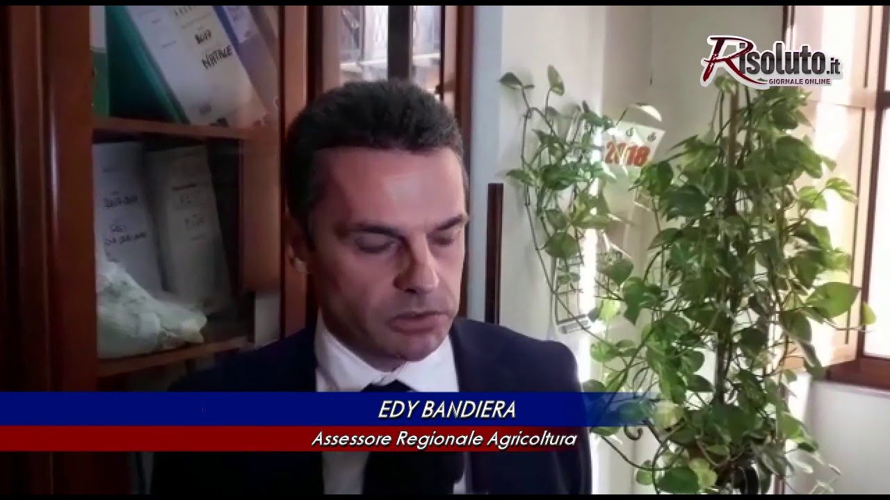 L'assessore regionale all'agricoltura: "Stiamo liberando le strade rurali"