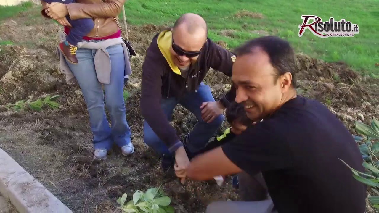 Il Movimento Cinque Stelle pianta gli alberi in contrada Ferraro: "Speriamo che possa diventare un piccolo presidio urbano di verde per questa citta'"