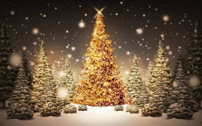 "Accendiamo il Natale", a Menfi il Comune mette a disposizione gli alberi per i commercianti