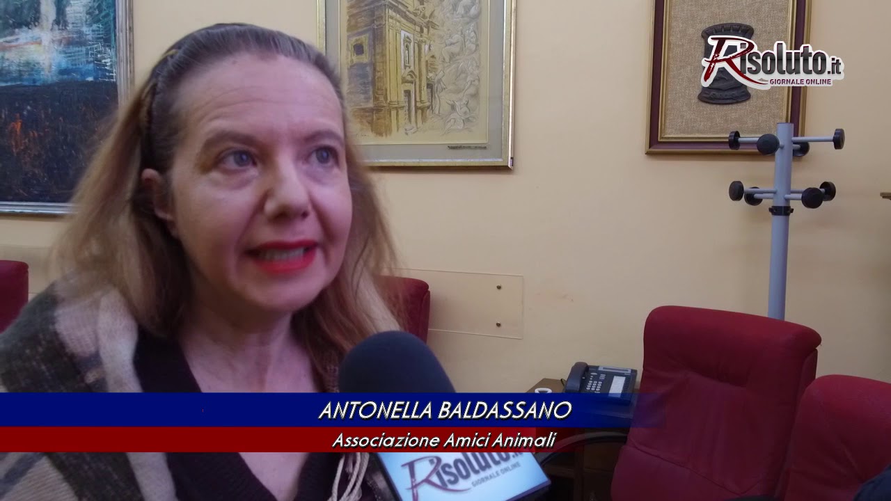 Dispenser per assicurare cibo a cani e gatti randagi, a Sciacca si collocheranno