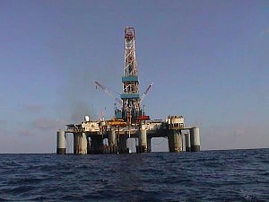 “Trivelle”, Greenpeace al governo: “Subito una norma per bloccare l’uso degli airgun nei nostri mari”.