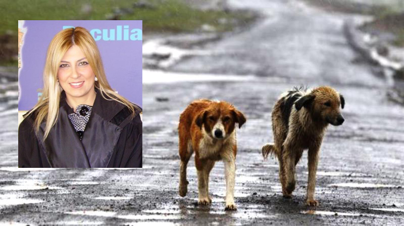 Farà causa al Comune di Sciacca un ciclista aggredito questa mattina da un cane randagio