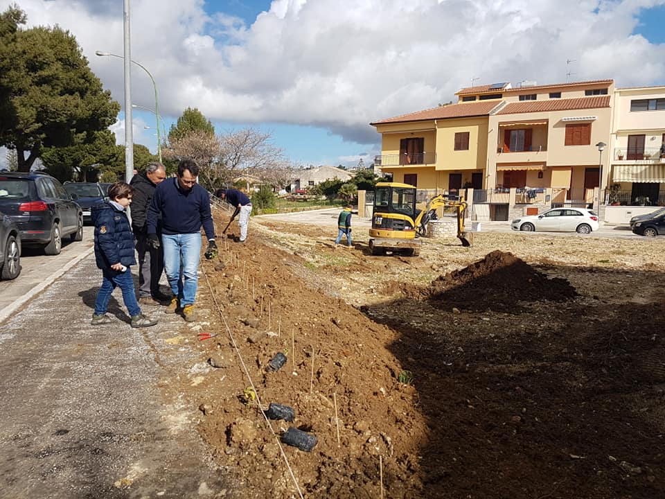 Il vice sindaco di Menfi: "Stiamo trasformando la città in un giardino con più di 1000 piante e senza alcuna spesa per il Comune"