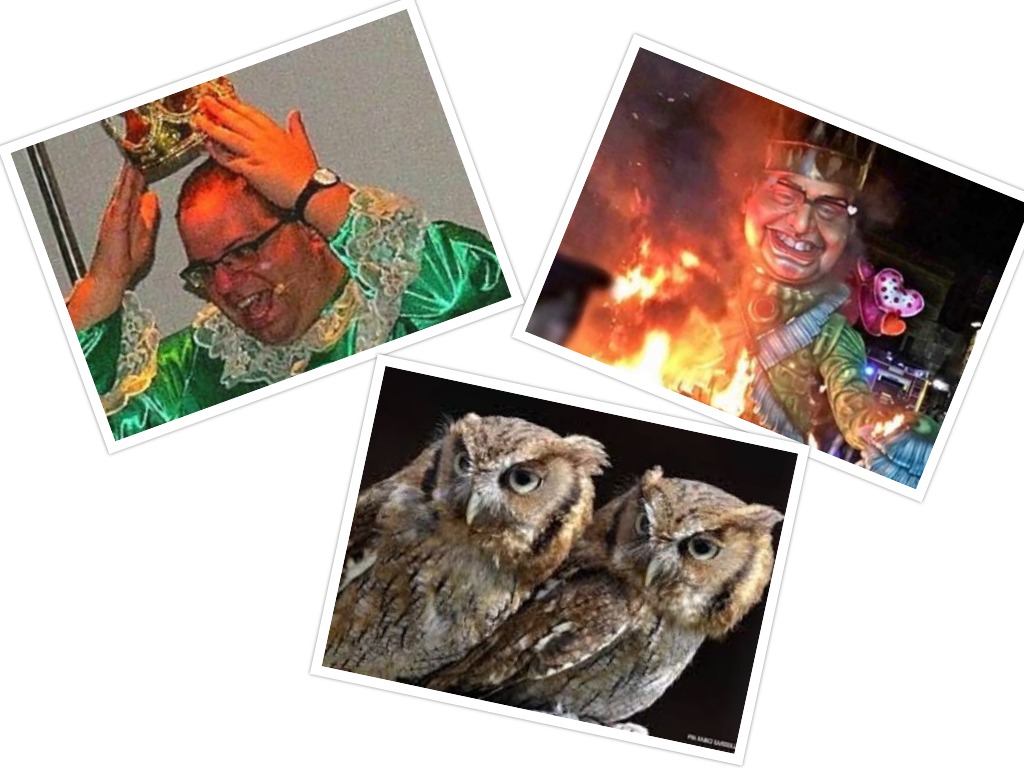 Carnevale 2019, l'ex assessore Salvatore Monte e "i gufi"