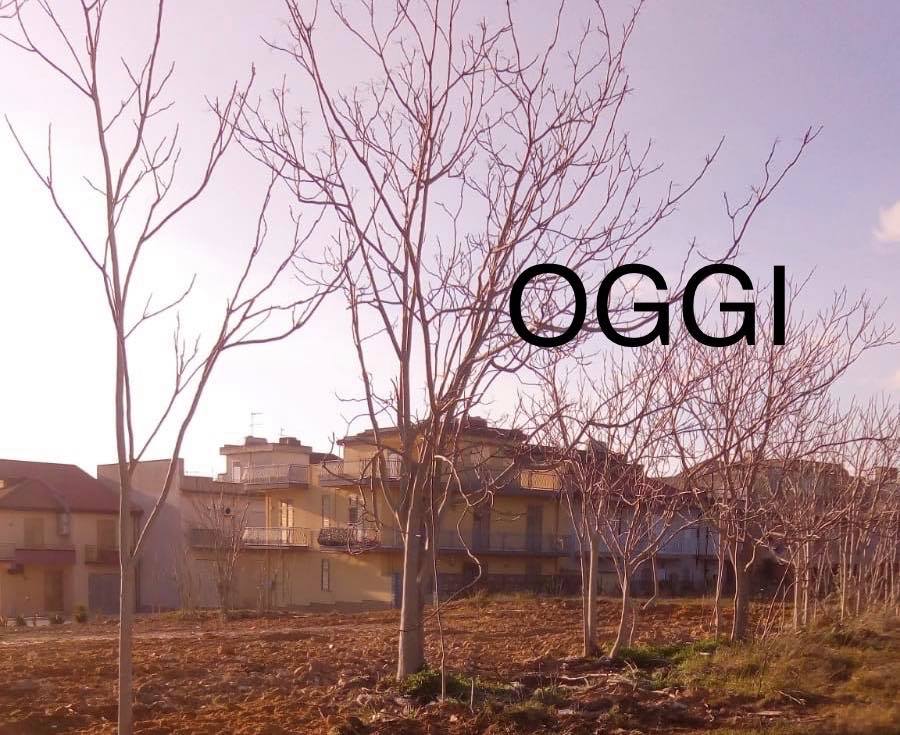 Restituita ai margheritesi l'area dell'ex autoparco, liberata dalle lamiere