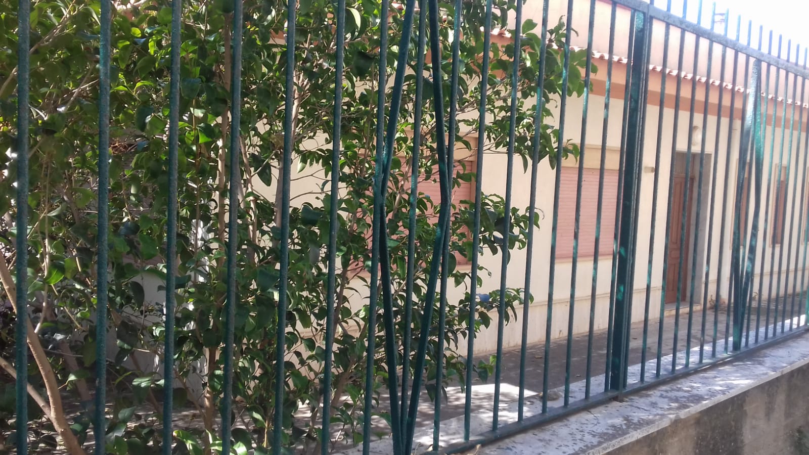 Un topo alla materna Agazzi di Sciacca, scuola chiusa per tre giorni per derattizzazione