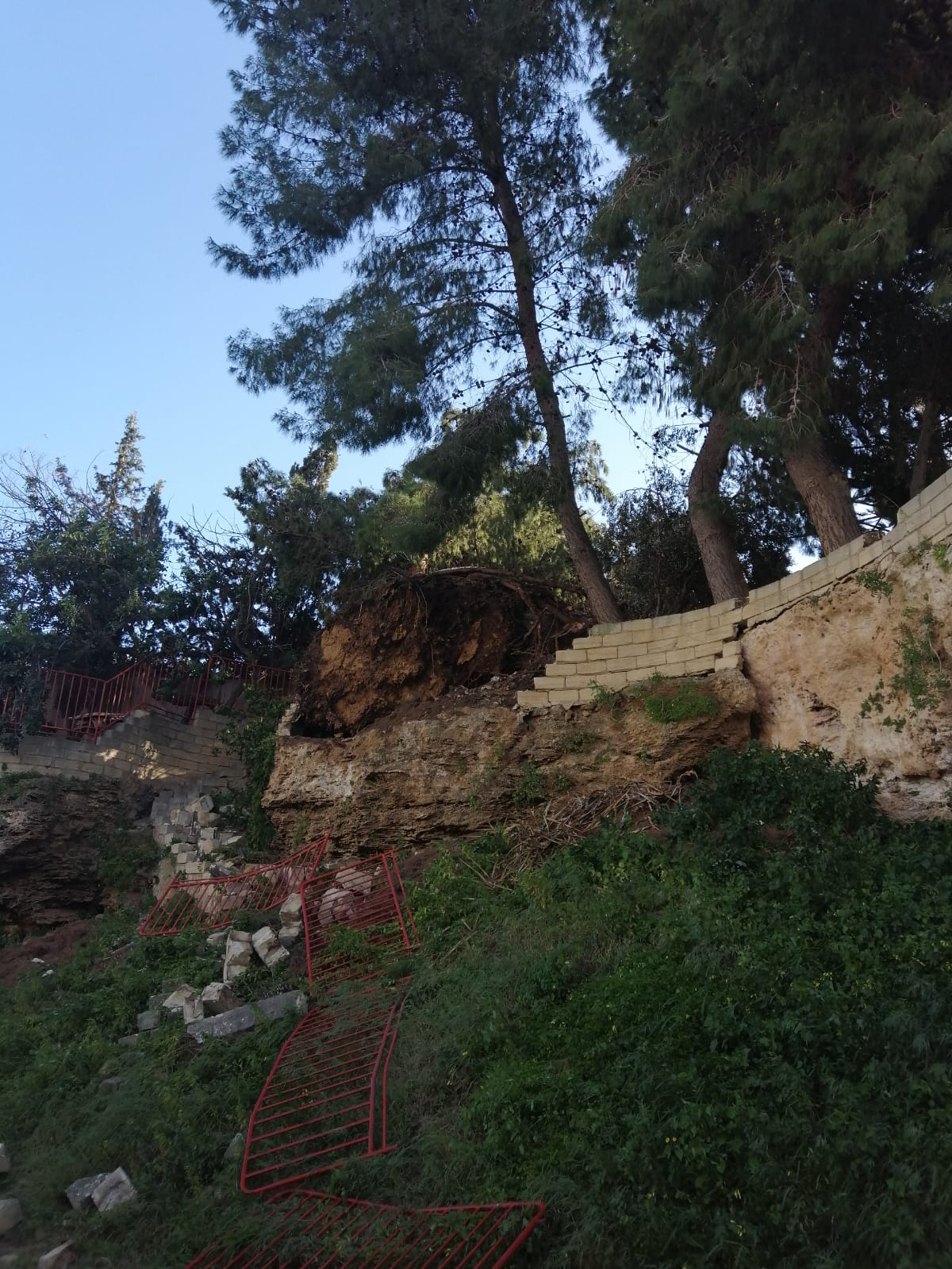 Maltempo, vento gelido e temperature in picchiata. Alberi sdradicati alla Perriera