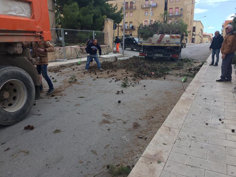 Rimosso l'albero che era precipitato durante la notte in via Cusmano, a Sciacca