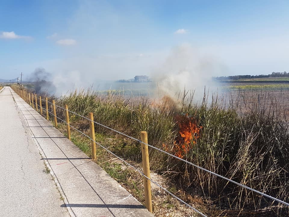 Appiccato un incendio alla pista ciclabile di Menfi, il vicesindaco Viviani: "A qualcuno disturba il processo di civilizzazione che abbiamo intrapreso"