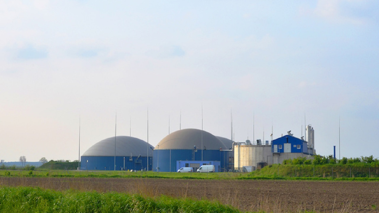 Massimiliano Trapani: "L'impianto autorizzato non è una centrale a biomasse, ma una distilleria di vinaccia. Sciacca dorma sonni tranquilli, nessuna minaccia per la salute pubblica"
