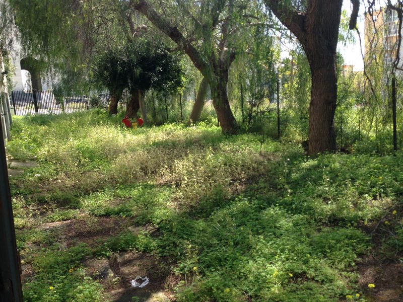 Nessuna cura per gli spazi verdi delle scuole di Sciacca, dimenticati dal Comune