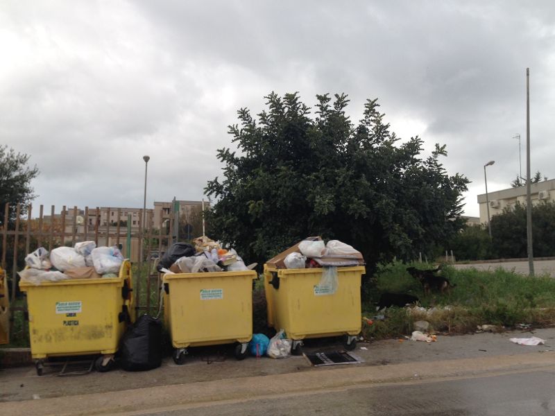 Dovevano essere ritirati i cassonetti nella contrada Guardabasso-Tabasi di Sciacca e invece arrivano anche i cani randagi