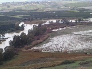 La Regione risarcisce con 60 mila euro due agricoltori riberesi per i danni ai loro agrumeti dopo l’esondazione del Platani