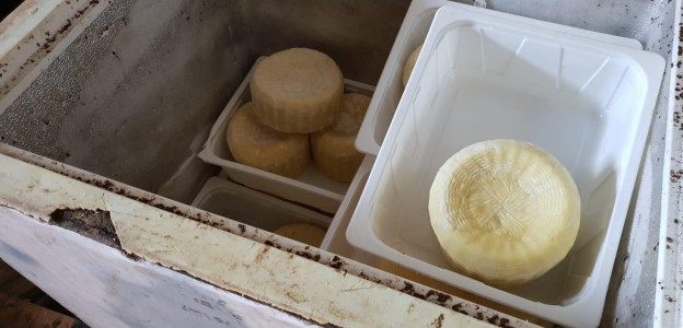 Bagheria, sequestrati 130 chili di formaggio fresco