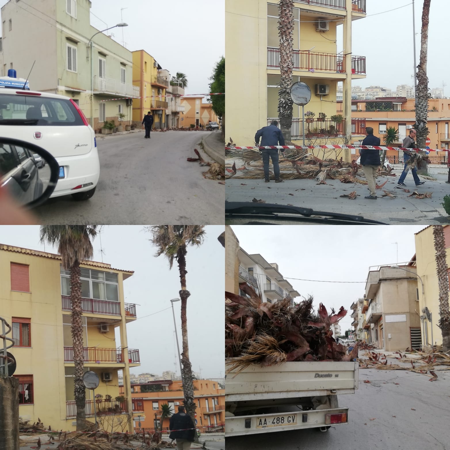 Raffiche di vento, si scorticano le palme di via Amendola a Sciacca, chiusa la strada