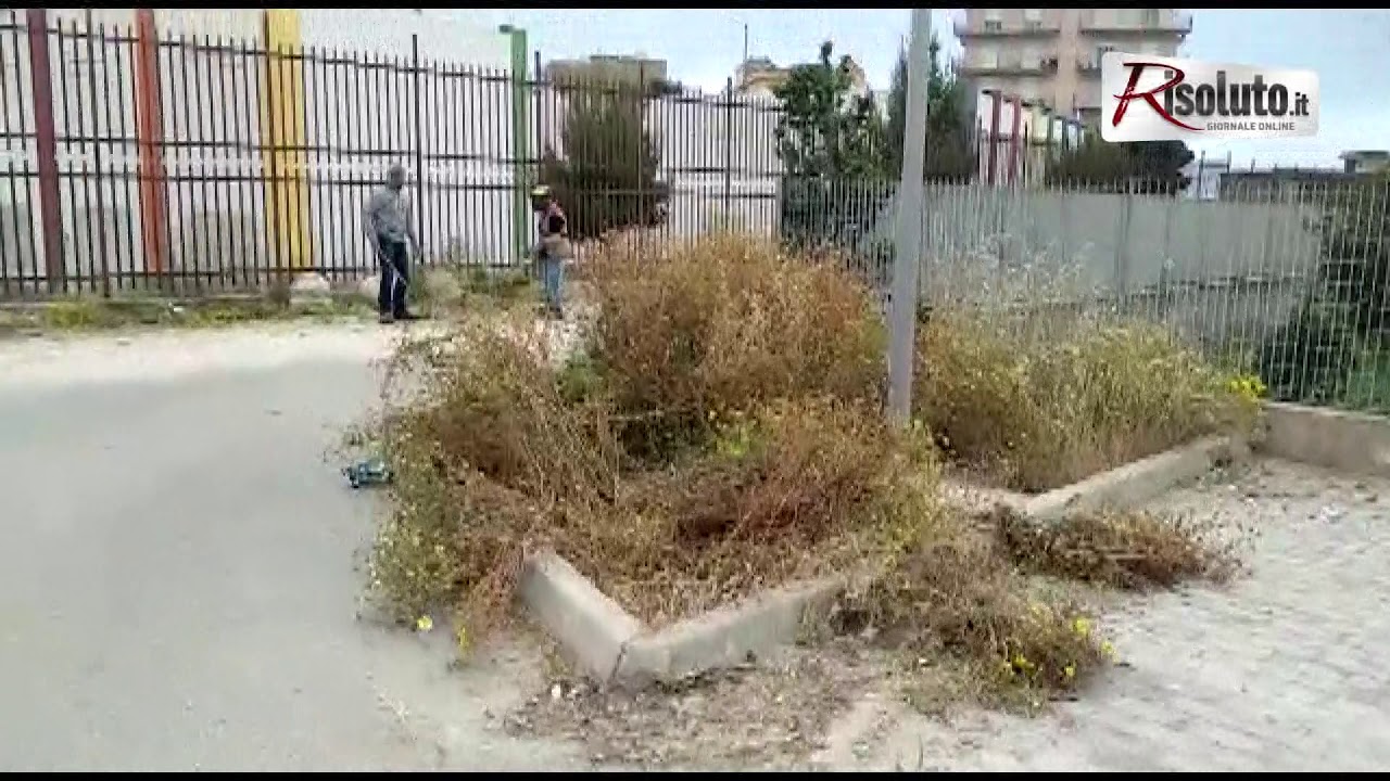 Gruppo di papa' pulisce ed effettua la scerbatura nel parcheggio Catusi a pochi metri dalla scuola primaria