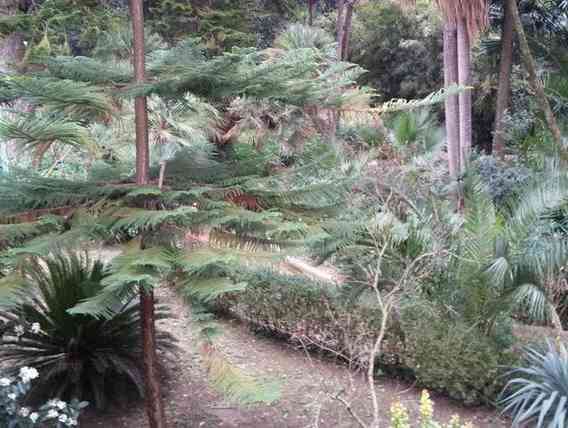 Santa Margherita Belice, "Giardini del Gattopardo": la Regione finanzia 50 mila euro per un progetto dedicato ai giovani