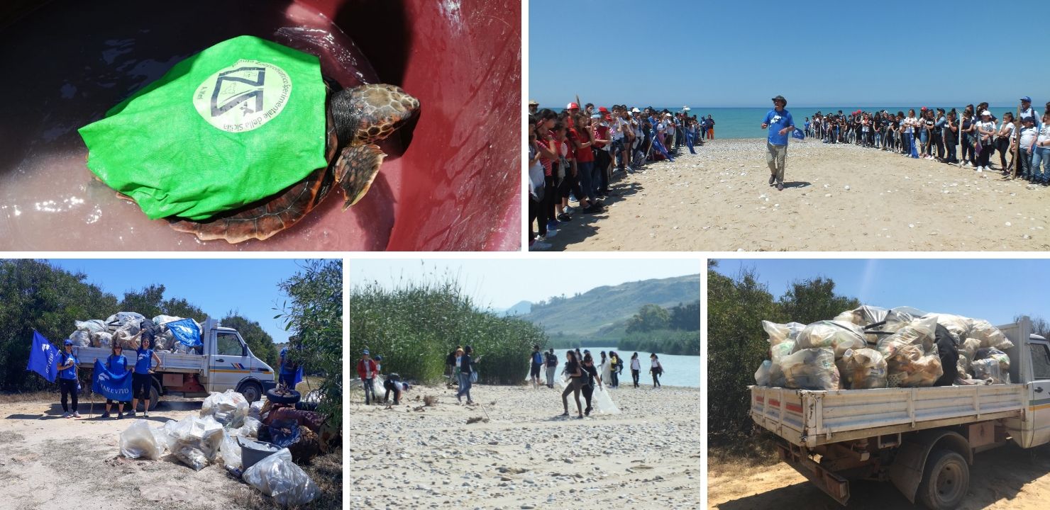 Marevivo pulisce, con oltre 200 volontari, la spiaggia adiacente la Foce del Fiume Platani da tre tonnellate di rifiuti e libera un esemplare di Caretta caretta