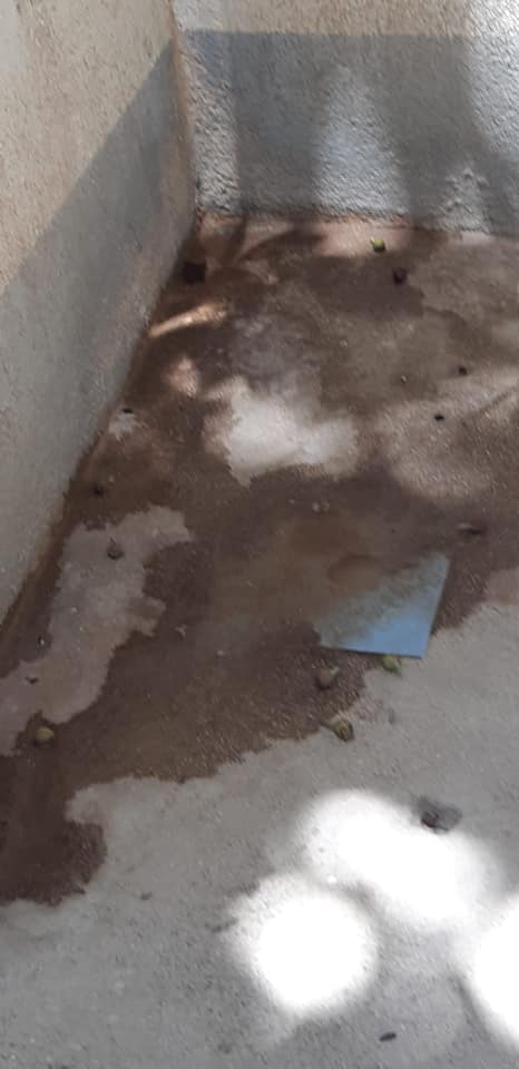 Bagni della villa comunale di Sciacca chiusi da 25 giorni, Marinello attacca la giunta