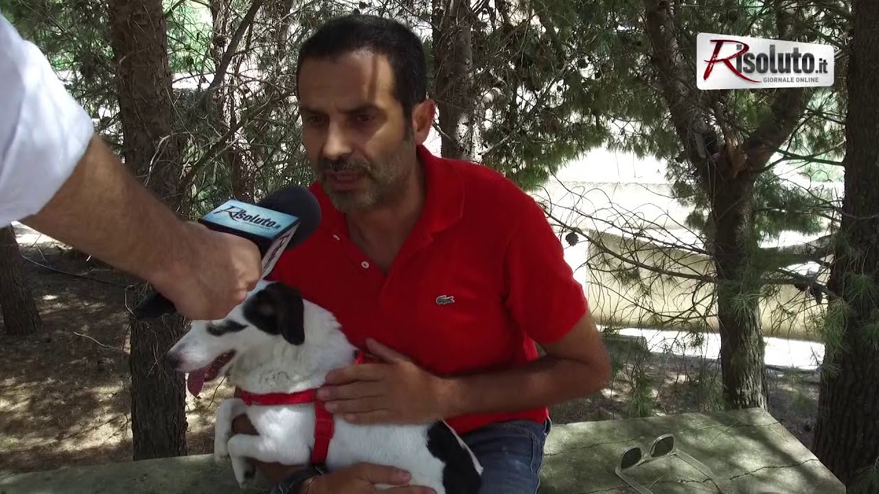 Cani avvelenati a Sciacca, il Wwf: "Non sono piu'casi isolati"