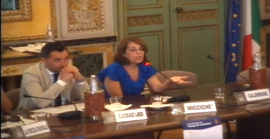 Randagismo, il M5S: "Da gennaio il Comune aveva già tutti gli strumenti, ma la sindaca si trastulla nei convegni"